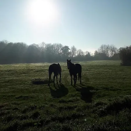 La Escuris Hébergement de vacances *
