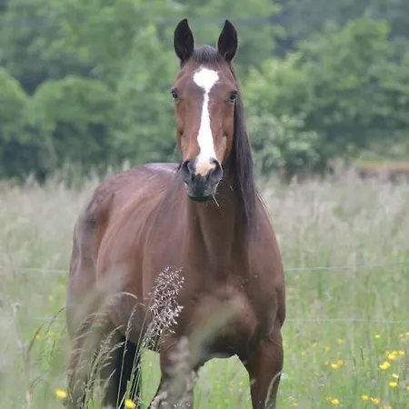 Feriehus La Escuris Escures-sur-Favières