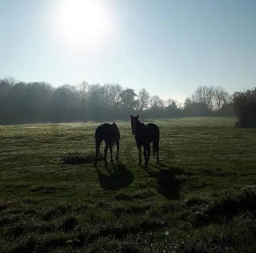 La Escuris 度假居 *